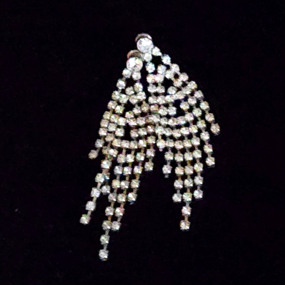 Sparkling Dangle Earrings